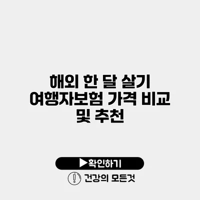 해외 한 달 살기 여행자보험 가격 비교 및 추천