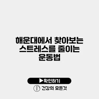 해운대에서 찾아보는 스트레스를 줄이는 운동법