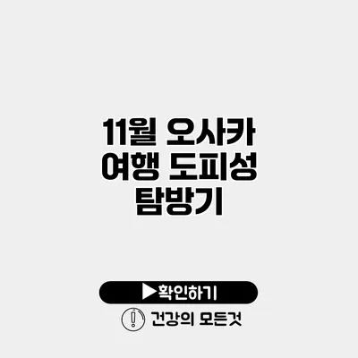 11월 오사카 여행 도피성 탐방기