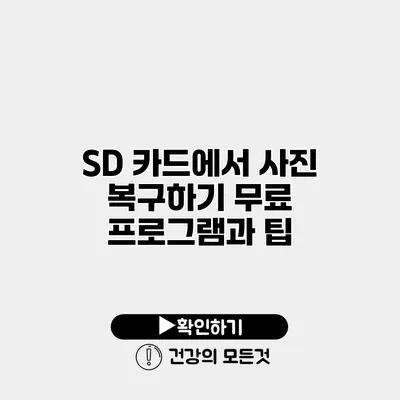 SD 카드에서 사진 복구하기 무료 프로그램과 팁