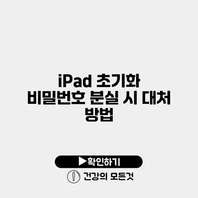 iPad 초기화 비밀번호 분실 시 대처 방법