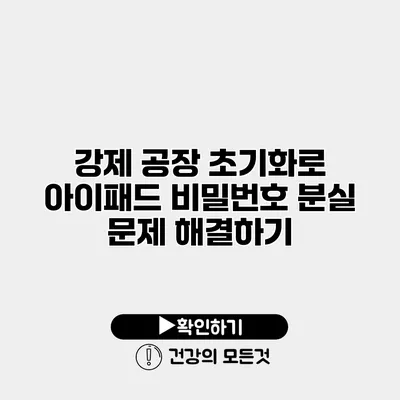 강제 공장 초기화로 아이패드 비밀번호 분실 문제 해결하기