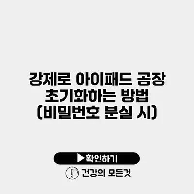 강제로 아이패드 공장 초기화하는 방법 (비밀번호 분실 시)