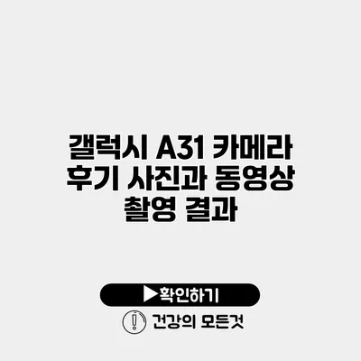 갤럭시 A31 카메라 후기 사진과 동영상 촬영 결과