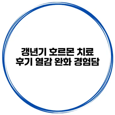 갱년기 호르몬 치료 후기 열감 완화 경험담