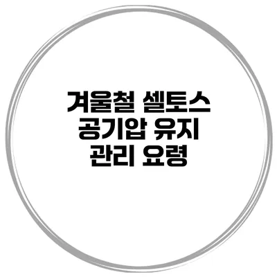 겨울철 셀토스 공기압 유지 관리 요령