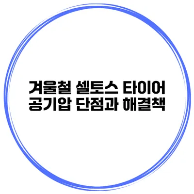 겨울철 셀토스 타이어 공기압 단점과 해결책