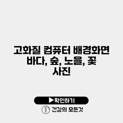 고화질 컴퓨터 배경화면 바다, 숲, 노을, 꽃 사진
