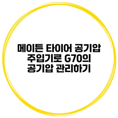 메이튼 타이어 공기압 주입기로 G70의 공기압 관리하기
