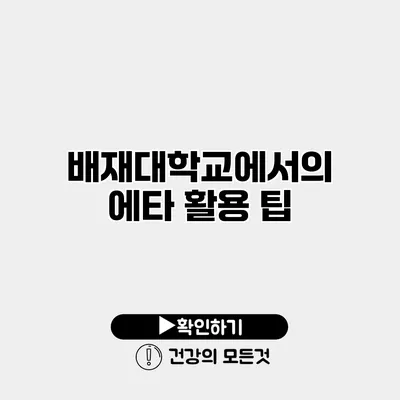 배재대학교에서의 에타 활용 팁