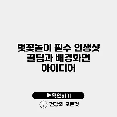 벚꽃놀이 필수 인생샷 꿀팁과 배경화면 아이디어