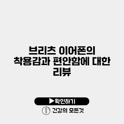 브리츠 이어폰의 착용감과 편안함에 대한 리뷰