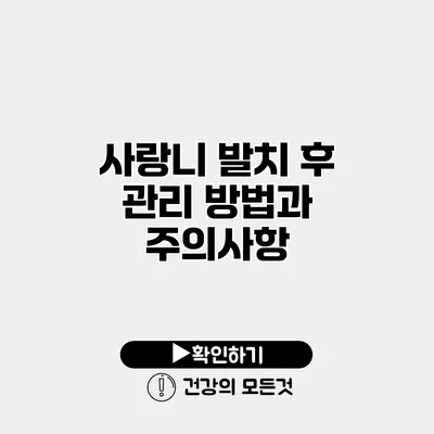 사랑니 발치 후 관리 방법과 주의사항