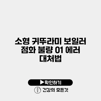 소형 귀뚜라미 보일러 점화 불량 01 에러 대처법