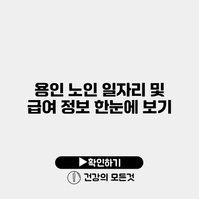 용인 노인 일자리 및 급여 정보 한눈에 보기