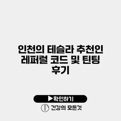 인천의 테슬라 추천인 레퍼럴 코드 및 틴팅 후기