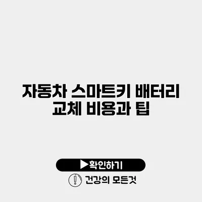 자동차 스마트키 배터리 교체 비용과 팁