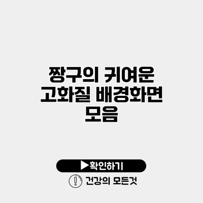 짱구의 귀여운 고화질 배경화면 모음