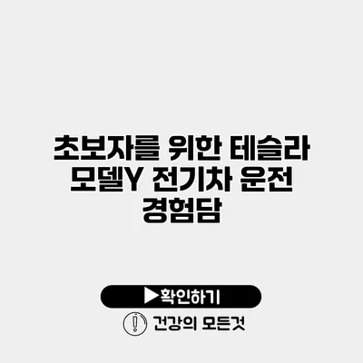 초보자를 위한 테슬라 모델Y 전기차 운전 경험담