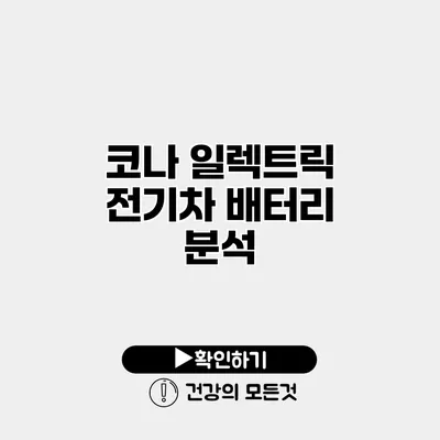 코나 일렉트릭 전기차 배터리 분석