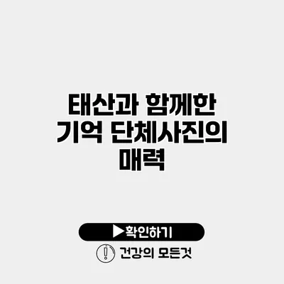 태산과 함께한 기억 단체사진의 매력