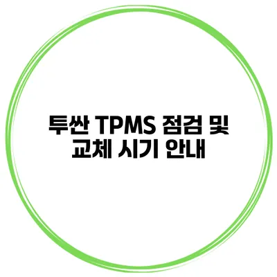 투싼 TPMS 점검 및 교체 시기 안내