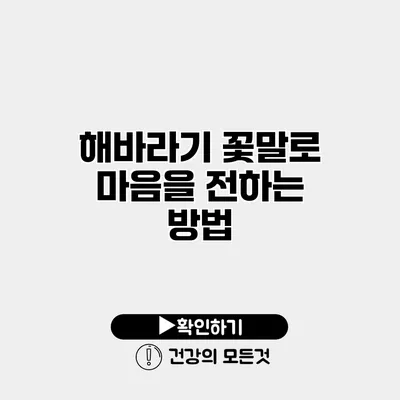 해바라기 꽃말로 마음을 전하는 방법