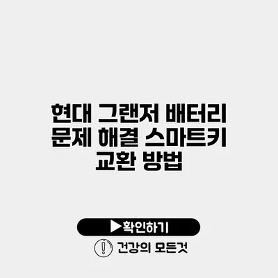 현대 그랜저 배터리 문제 해결 스마트키 교환 방법