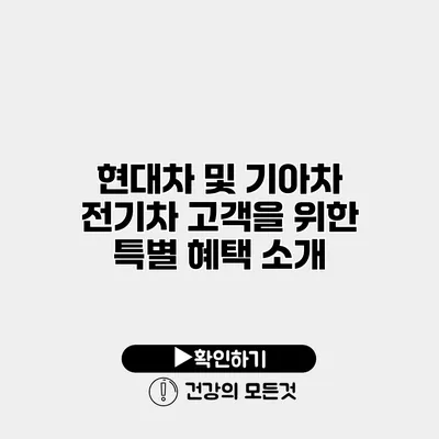 현대차 및 기아차 전기차 고객을 위한 특별 혜택 소개
